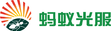 蚂蚁光服（深圳）科技有限公司