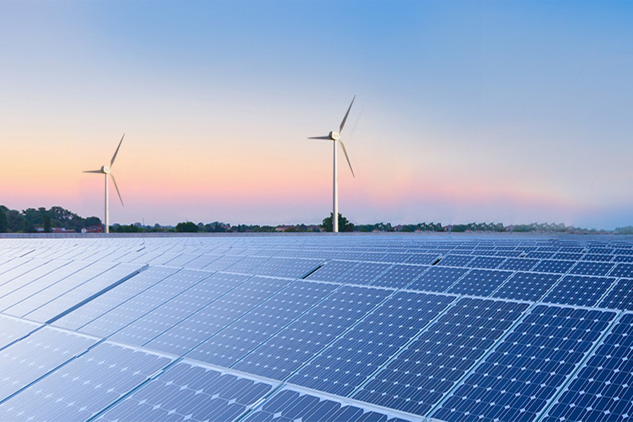 蚂蚁光服-2026网站升级！